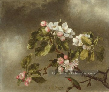 romantique romantisme Tableau Peinture - Colibri et fleurs de pommiers romantique fleur Martin Johnson Heade